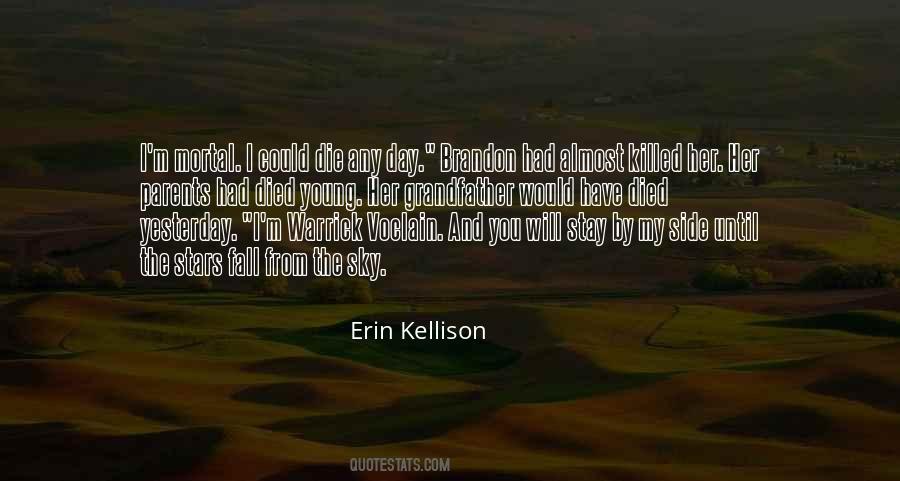 From The Sky Quotes #1253741