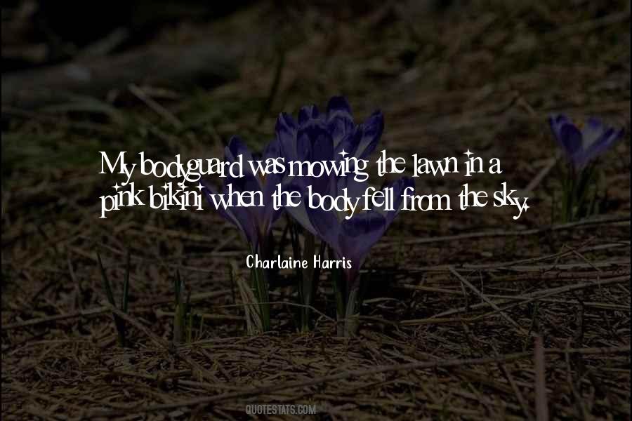 From The Sky Quotes #1324277