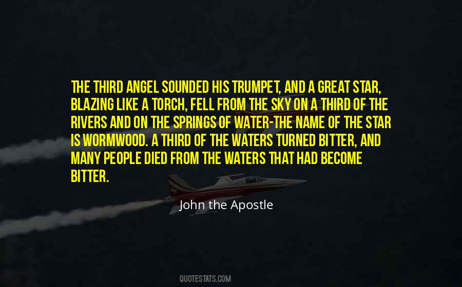 From The Sky Quotes #1331106