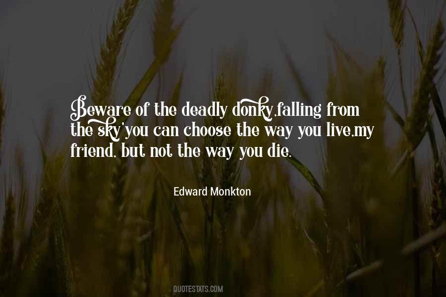 From The Sky Quotes #1386683