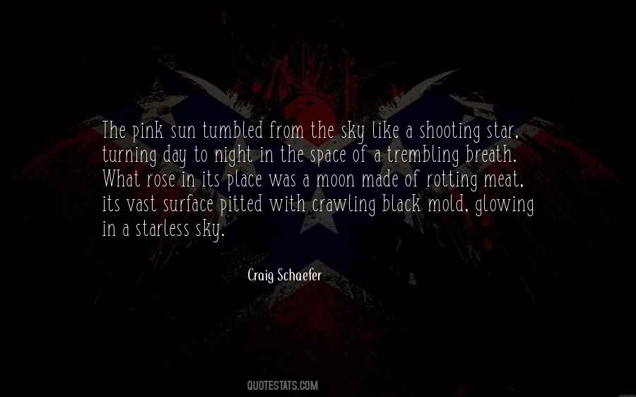 From The Sky Quotes #1438541