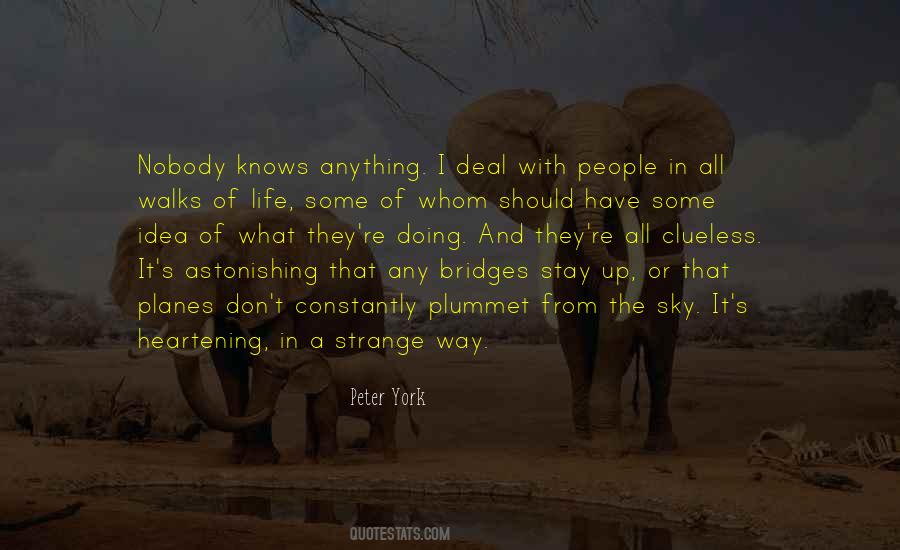 From The Sky Quotes #1676498