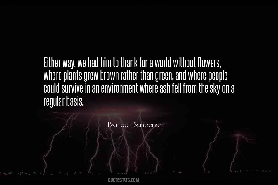 From The Sky Quotes #1827941
