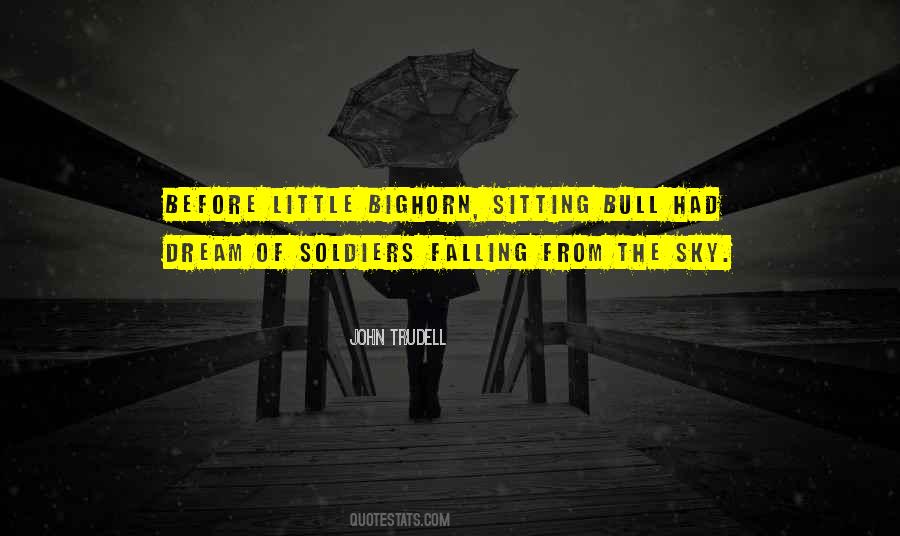 From The Sky Quotes #1867514