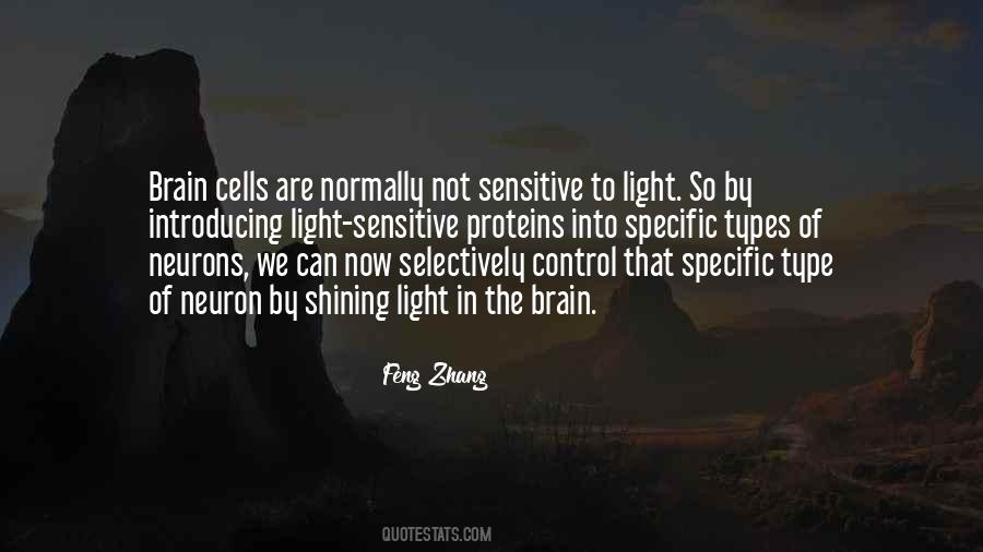 We Are Light Quotes #908002
