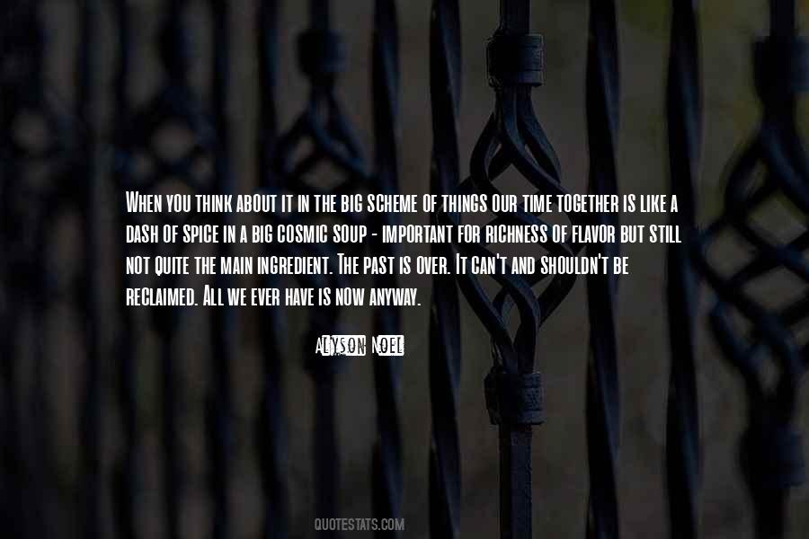 In The Scheme Of Things Quotes #1136042