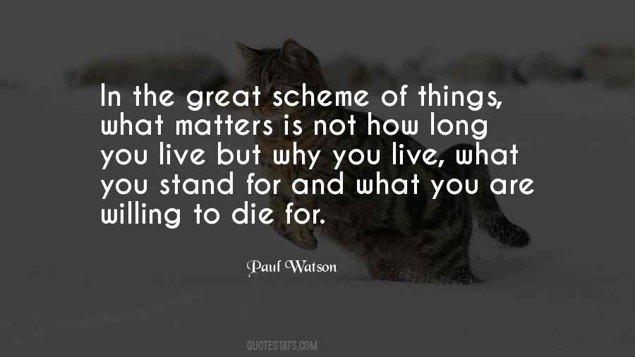 In The Scheme Of Things Quotes #1347398