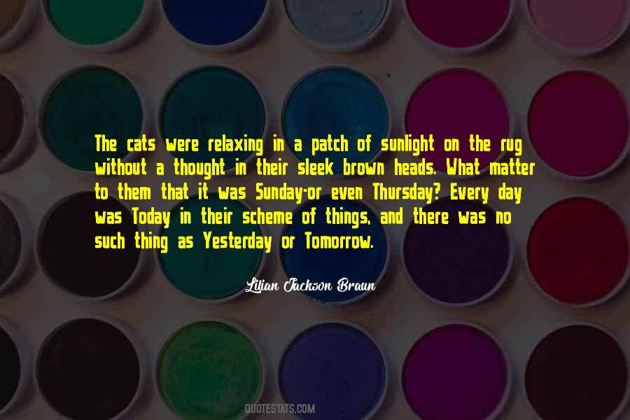 In The Scheme Of Things Quotes #181421