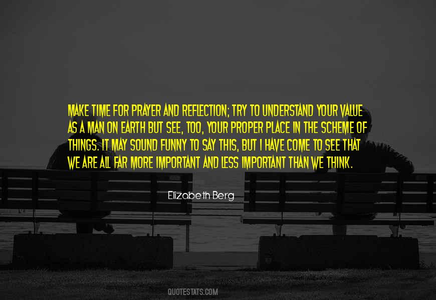 In The Scheme Of Things Quotes #277375