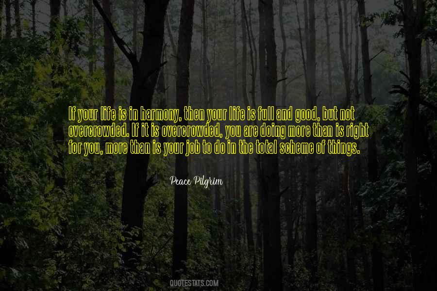In The Scheme Of Things Quotes #433183