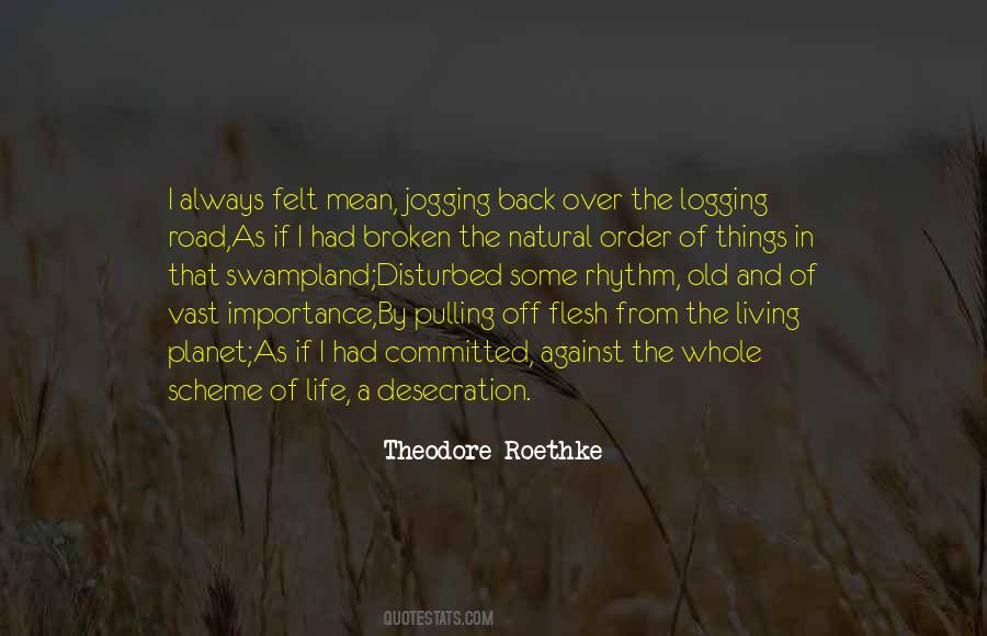 In The Scheme Of Things Quotes #636261