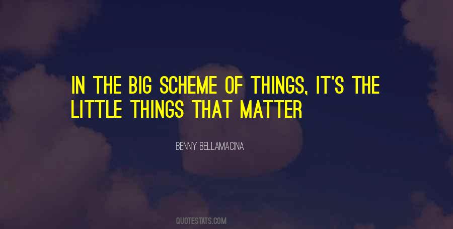 In The Scheme Of Things Quotes #790739