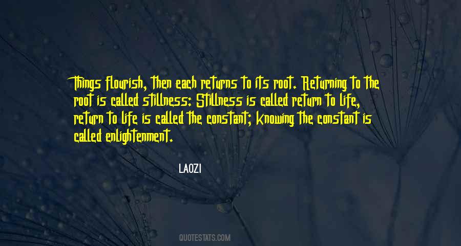 Life Enlightenment Quotes #812394