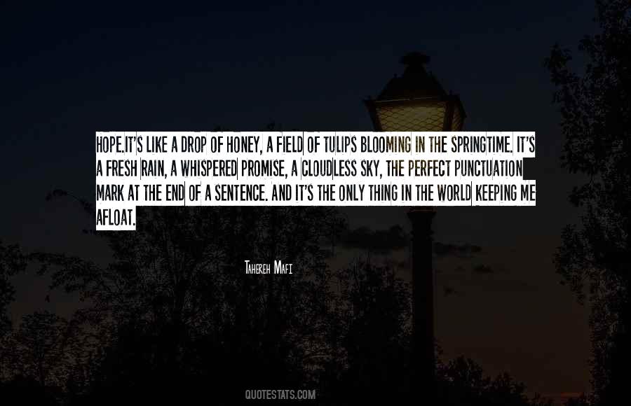 Like A Rain Drop Quotes #1150418