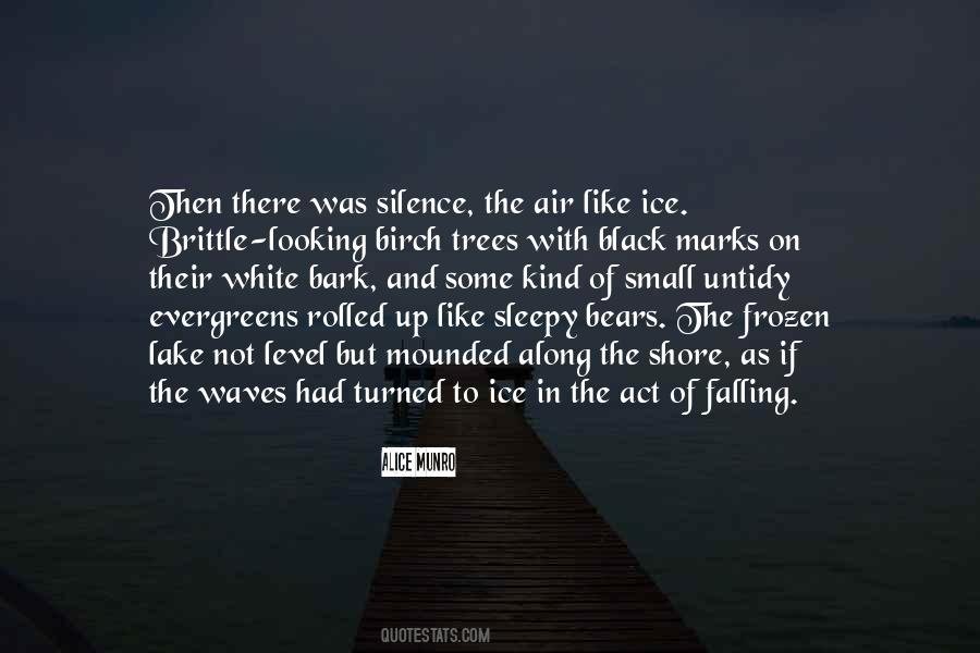 Frozen Lake Quotes #103213