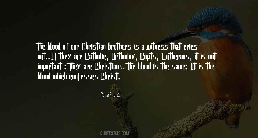 My Brother Not By Blood Quotes #1771562