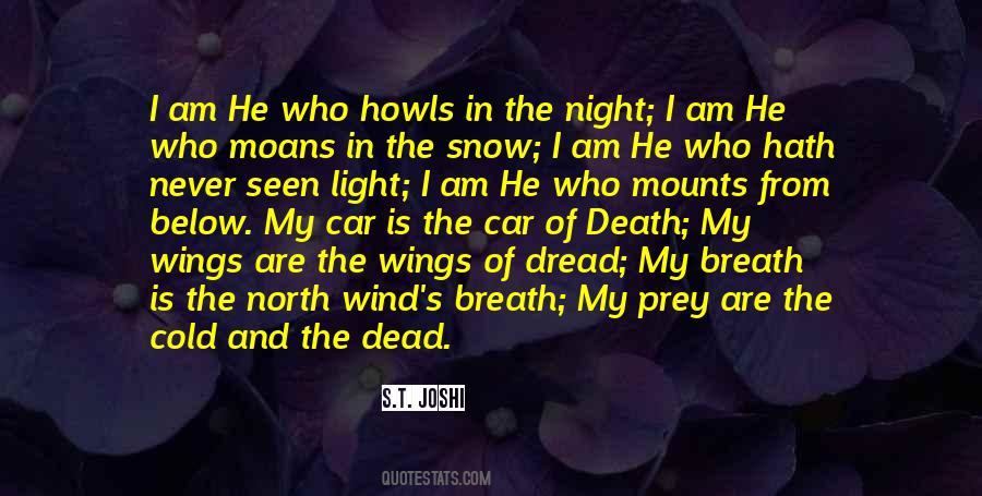 I Am The Wind Quotes #406414