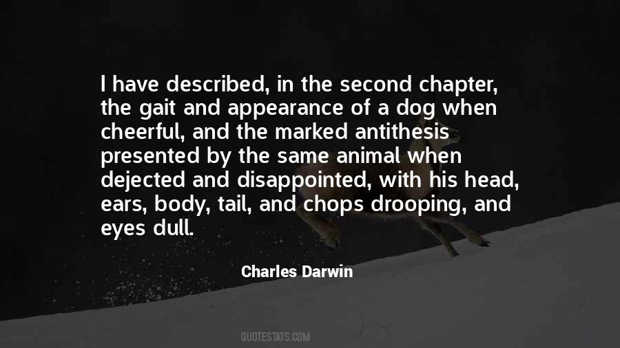 When Disappointed Quotes #418352