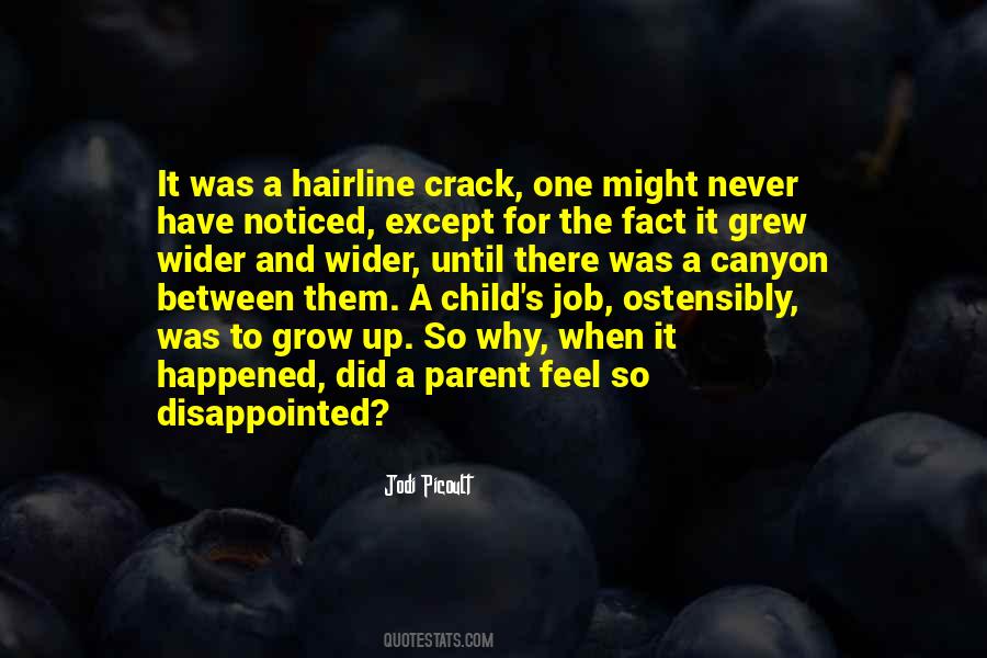 When Disappointed Quotes #714973