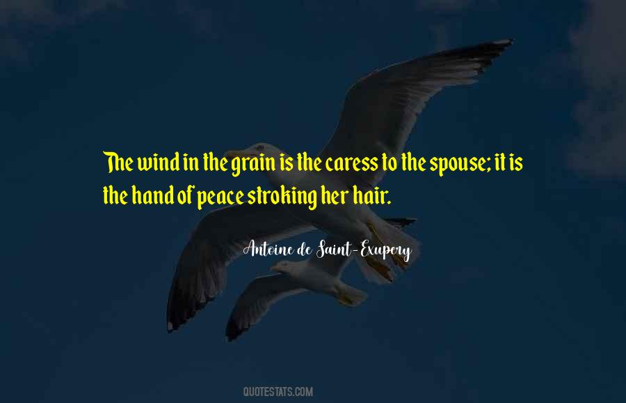 Hair Wind Quotes #1302817