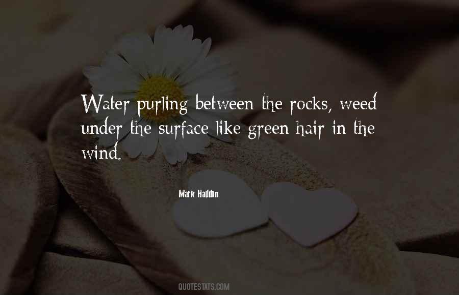 Hair Wind Quotes #903306