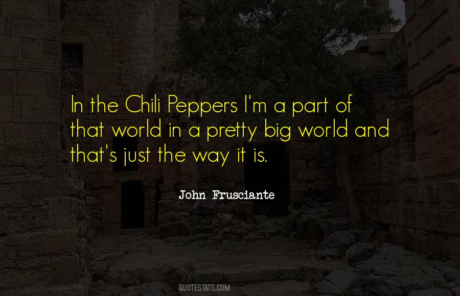 Frusciante Quotes #1603958