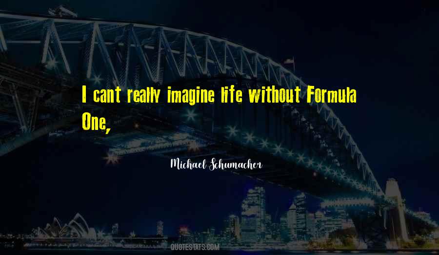 I Cant Imagine Quotes #437267