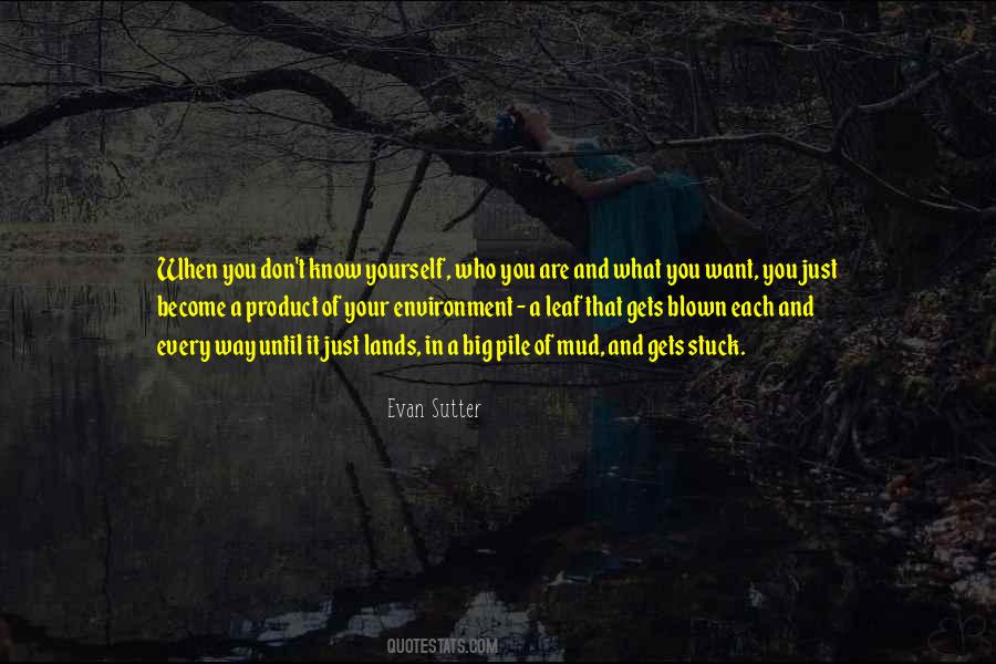 Stuck In The Mud Quotes #1801150
