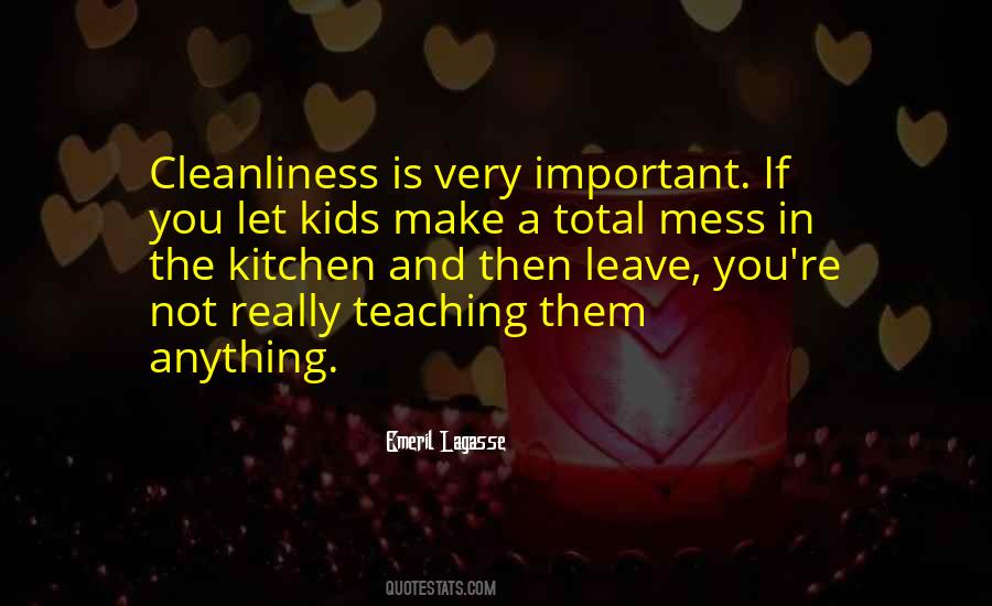 A Total Mess Quotes #1640483