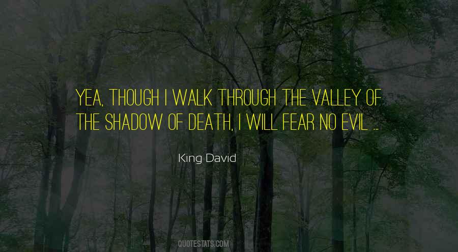 Through The Valley Quotes #1155669