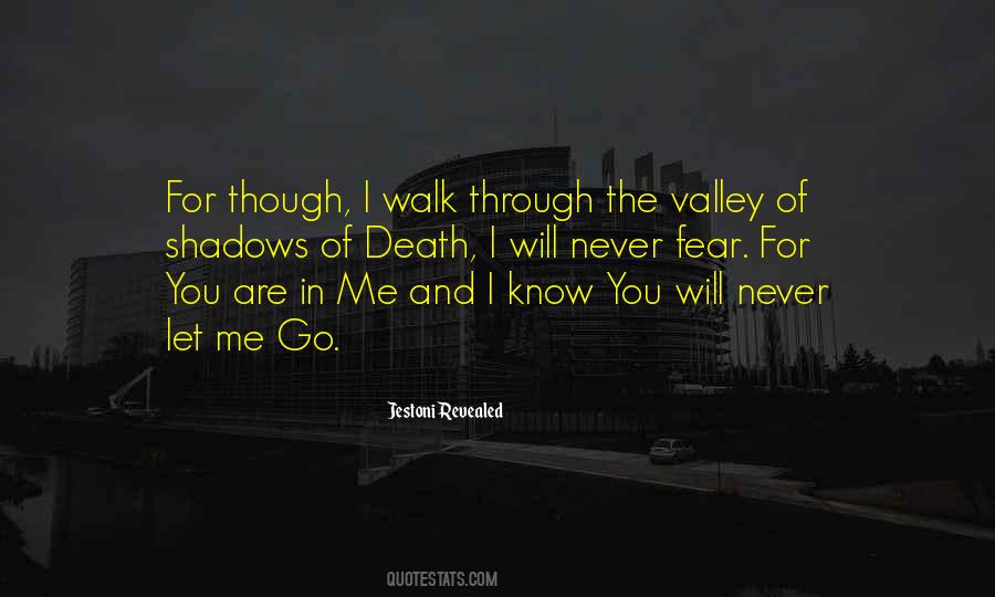 Through The Valley Quotes #1324621