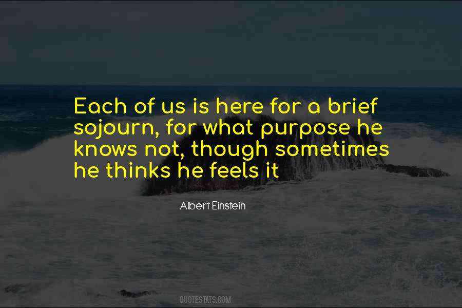 Who Feels It Knows It Quotes #117545