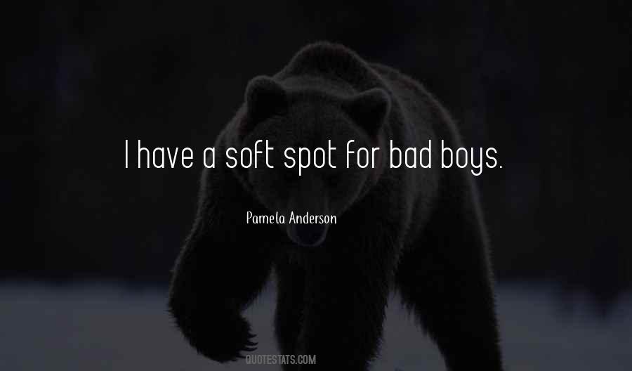 Quotes About A Soft Spot #632488