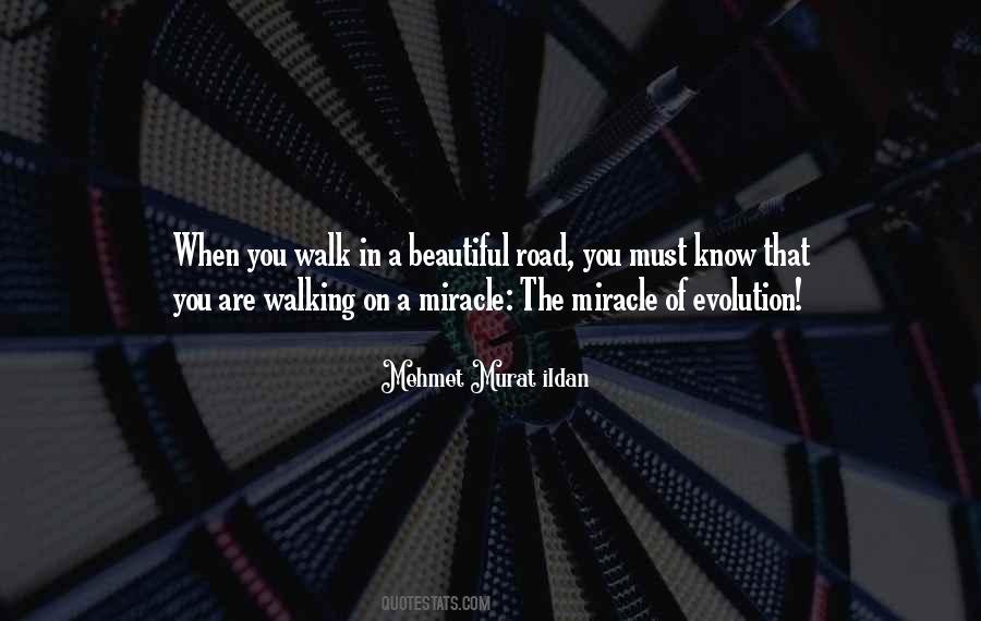 When You Are Beautiful Quotes #1148765