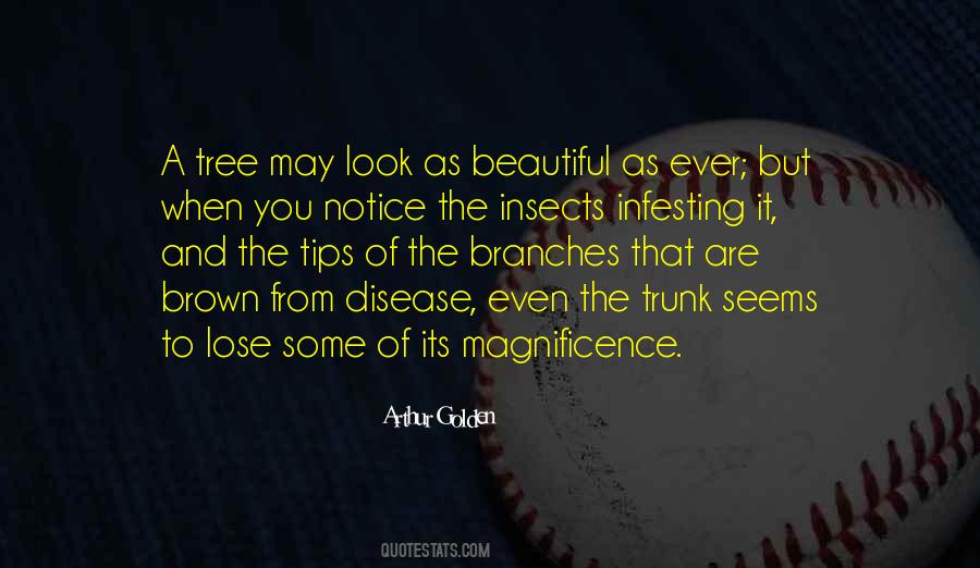 When You Are Beautiful Quotes #42434