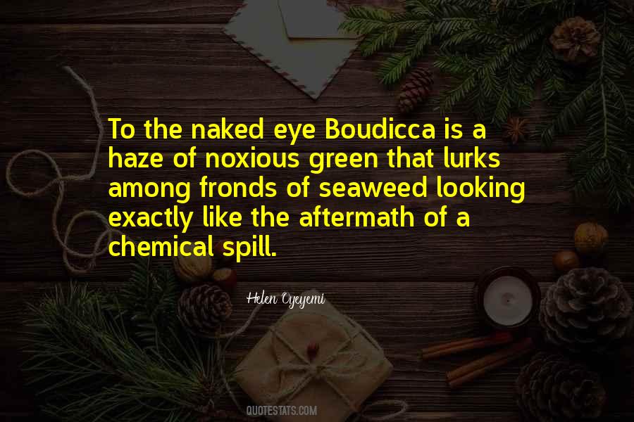 Naked Eye Quotes #515705