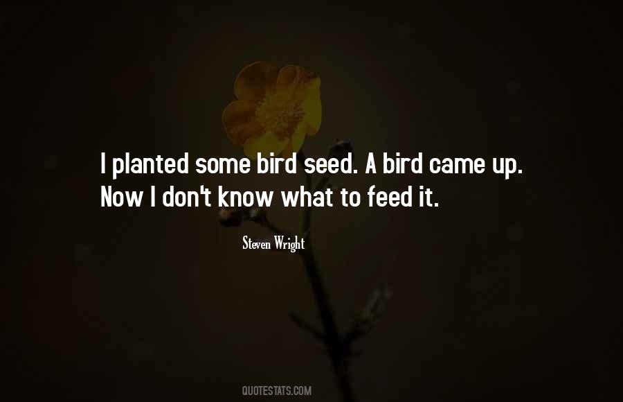 Feed A Bird Quotes #1819123