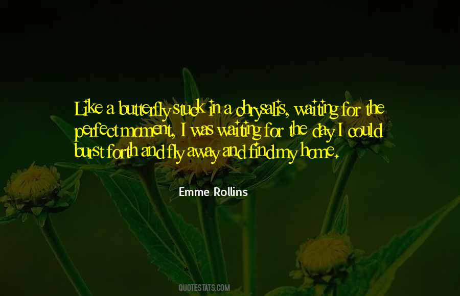 Butterfly Home Quotes #760578