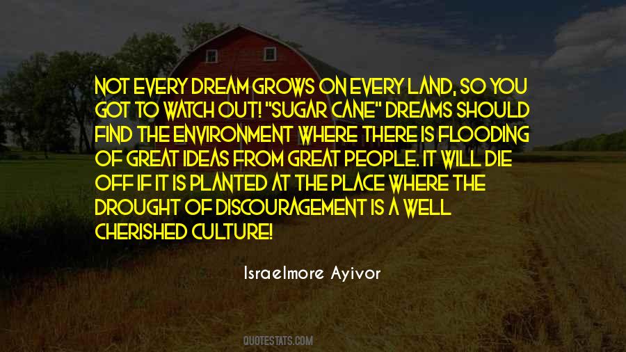 Dreams Die Quotes #984203