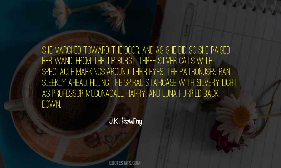 Silver Eyes Quotes #375527