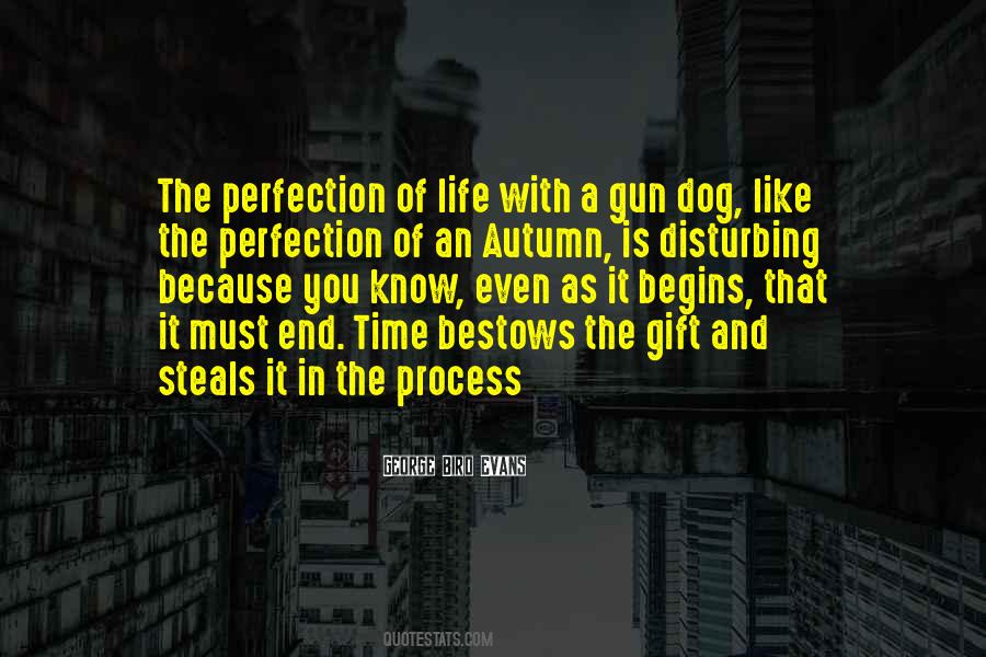 Quotes About The Gift Of Time #423938