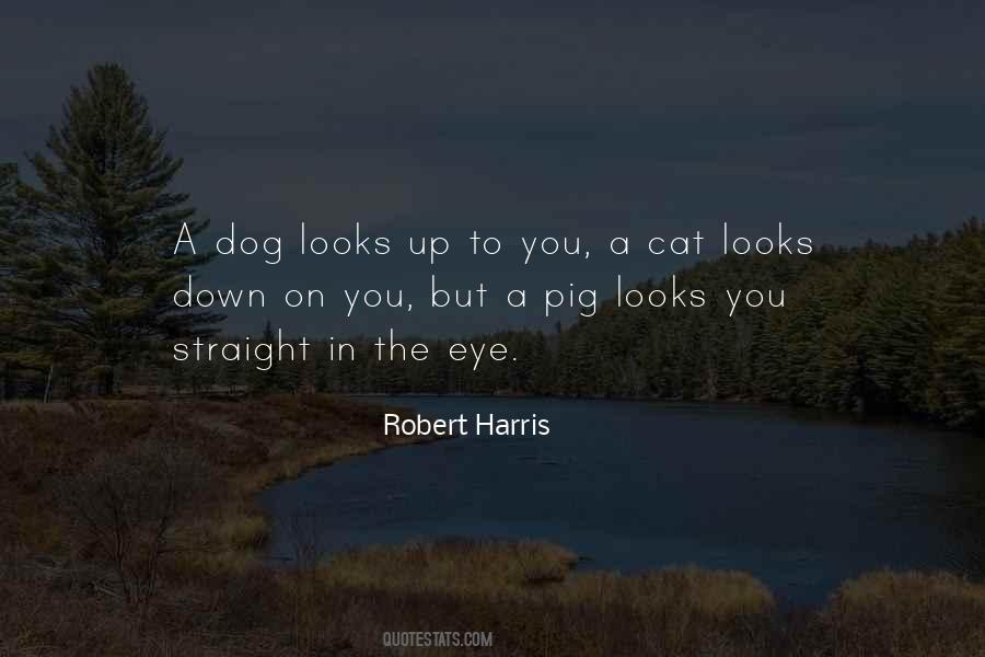 The Way Your Dog Looks At You Quotes #1710269