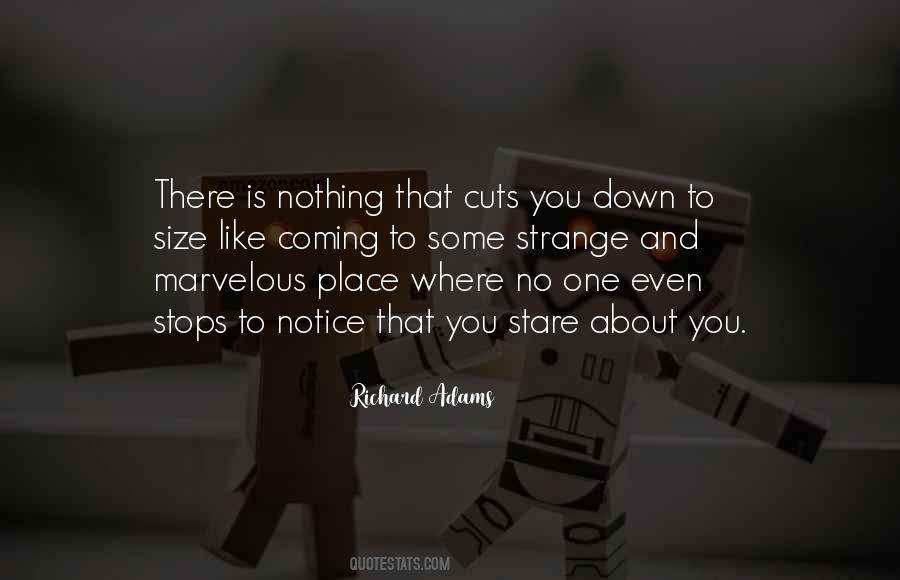 Nothing Stops You Quotes #84841