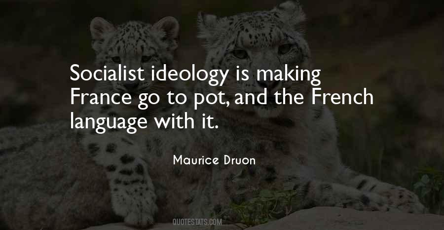 Quotes About The French Language #956811