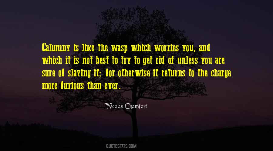 Try Not To Worry Quotes #174551