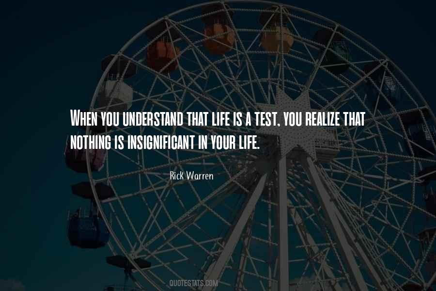 When You Understand Life Quotes #991464