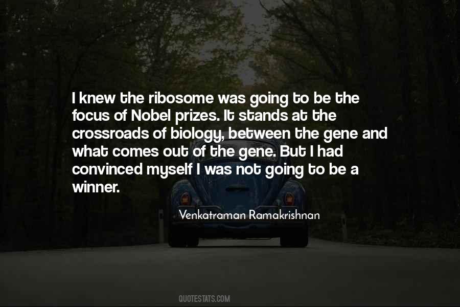 The Focus Quotes #1208037