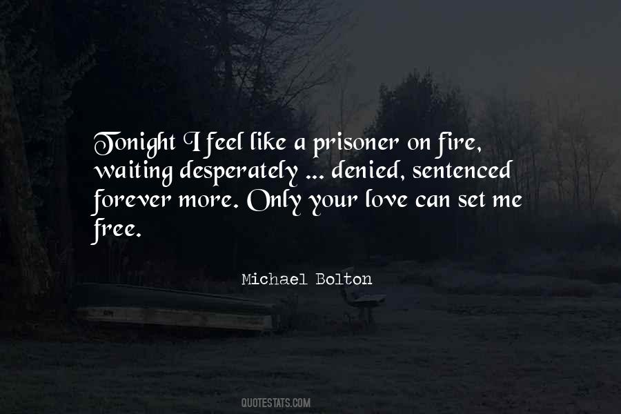 Can You Feel The Love Tonight Quotes #1700296