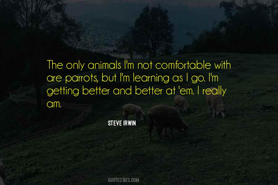 I Am Not Comfortable Quotes #324108