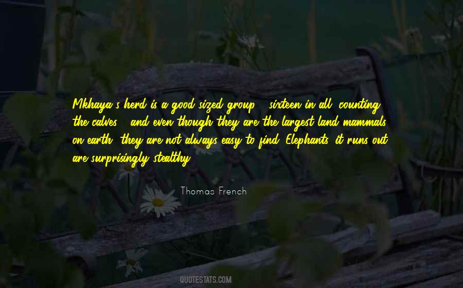 Herd Of Elephants Quotes #115554